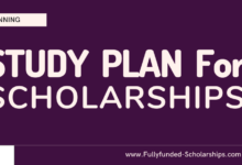 Winning Study Plan for Scholarship Application Submissions