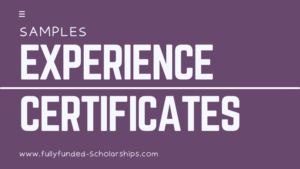 Experience Certificate Templates, Format, and Samples