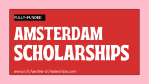 Amsterdam Excellence Scholarships (AES) Online Application form
